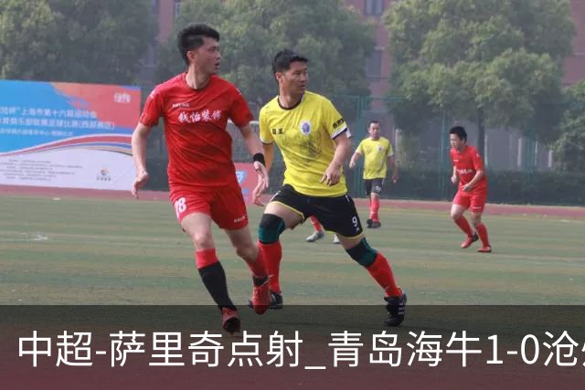 中超-萨里奇点射 青岛海牛1-0沧州雄狮携手保级
