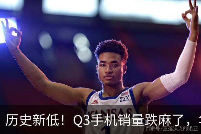 历史新低！Q3手机销量跌麻了，华为苹果却杀疯了