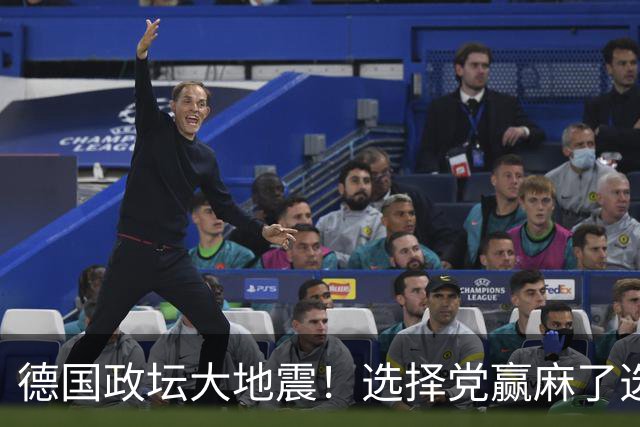 德国政坛大地震！选择党赢麻了选票，魏德尔却栽在了盟友身上