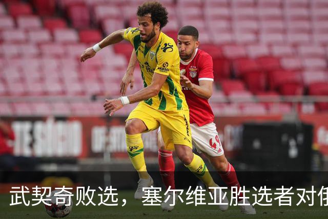 武契奇败选，塞尔维亚胜选者对俄态度如何？俄方火速发声把话挑明